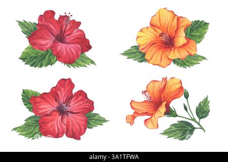 Aquarellset von roten und orangen Hibiskusblüten Stockfoto