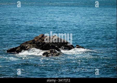Wellen, die unter hellem Sonnenlicht auf dem offenen Meer gegen die felsige Küste krachen Stockfoto
