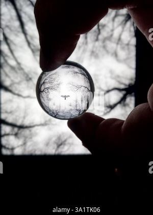 Abstrakte, dunkle Kristallkugel Reflexion von Bäumen und Stockfoto