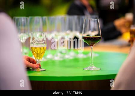 Ein Bierglas und ein Weinglas aufgenommen Berlin, 22.01.2025. Berlin Deutschland *** ein Bier- und ein Weinglas aufgenommen Berlin, 22 01 2025 Berlin Deutschland Copyright: XAmreixSchulzx Stockfoto