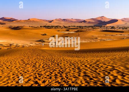 SESRIEM, NAMIBIA - 21. AUGUST 2024: Touristen wandern nach Deadvlei in der Namib-Wüste Stockfoto