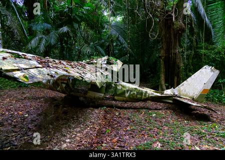 Das Flugzeug stürzte im Cockscomb Basin Wildlife Sanctuary Forest in Belize ab Stockfoto