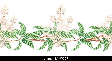 Weiße Blüten auf Zweigen mit grünen Blättern. Nahtloser Rand. Handgezeichnete Aquarellillustration isoliert. Sommerrahmen. Frühlingsblüte der Tropen Stockfoto