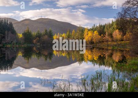 Herbstlaub spiegelt sich in Glencoe Lochan in den schottischen Highlands wider. Stockfoto