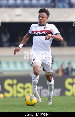 Dan Ndoye vom FC Bologna wurde während des italienischen Fußballspiels der Serie A zwischen Verona und Bologna im Stadion Marcantonio Bentegodi in Aktion genommen. Endstand: Hellas Verona FC 1:2 Bologna FC. Stockfoto
