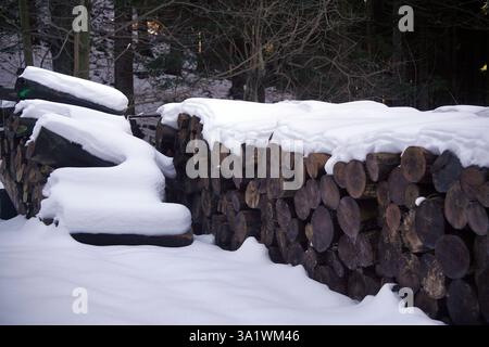 Gefällt Holz oder Baumstumpf unter Schnee, schneiden Sie Naturholz Stockfoto