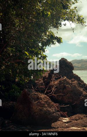 Coral Rocks überlappt von einem Baum mit dem Meer im Hintergrund am weißen Strand, boracay, philippinen. Stockfoto