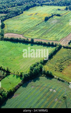 Vertikale Luftaufnahme von Ackerland und Wald mit Flickenteppichfeldern, die den Rahmen füllen. Stockfoto