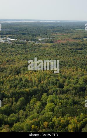 Vertikale Luftaufnahme des Frühherbstwaldes mit Blick auf den Horizont des St. Lawrence River Stockfoto