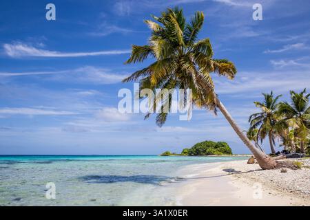 Der Strand im Laughing Bird Caye National Park vor der Küste von Belize, Mittelamerika Stockfoto