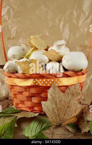 Frische weiße Pilze im Korb. Ein Korb mit weißen Pilzen, umgeben von bunten Herbstblättern, symbolisiert Ernte und saisonale Fülle. Stockfoto