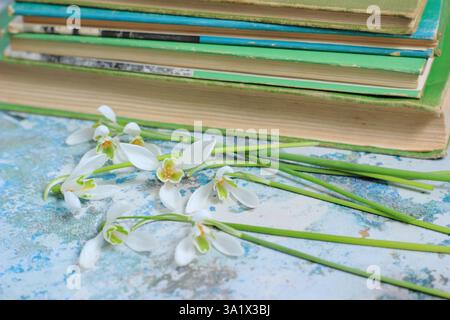 Blumenpressen in Büchern. Schneeglöckchen und Winterjasminblüten bereit zum Pressen eines Buches. UK Stockfoto