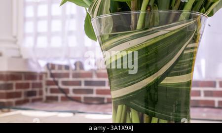 Pflanzenblätter, die sich um das Innere der Vase gegen Ziegelwand bei einer Gartenparty im Freien gewickelt haben Stockfoto