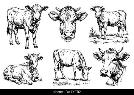 Kuh Set Illustration Tusche Skizze. Bauernhofbulle Hintergrund Rindfleisch Tier Silhouette Kunst. Handgezeichnetes Schwarzweiß-Vektorbild Stock Vektor