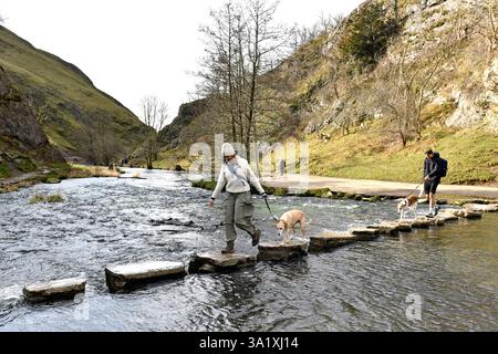 Die Stepping Stones in Dovedale, Peak District, Derbyshire, England, Großbritannien. Spaziergänger mit Hunden, die den Fluss Taube überqueren. Stockfoto