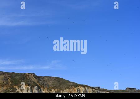 Klippe und klarer blauer Himmel mit Vögeln fliegen Stockfoto