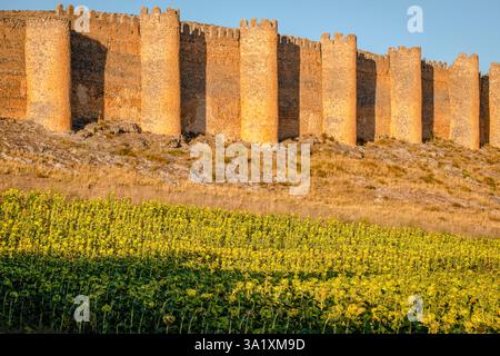 „Alter Zaun oder Cerca Vieja“, Mauer aus dem 10. Bis 12. Jahrhundert, Berlanga de Duero, Soria, autonome Gemeinde Castilla y León, Spanien. Stockfoto