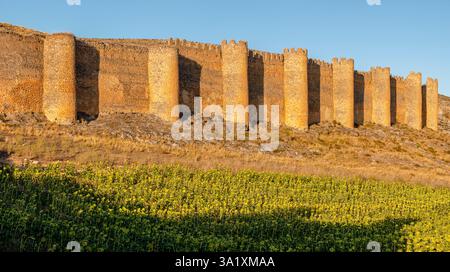 „Alter Zaun oder Cerca Vieja“, Mauer aus dem 10. Bis 12. Jahrhundert, Berlanga de Duero, Soria, autonome Gemeinde Castilla y León, Spanien. Stockfoto