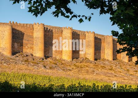 „Alter Zaun oder Cerca Vieja“, Mauer aus dem 10. Bis 12. Jahrhundert, Berlanga de Duero, Soria, autonome Gemeinde Castilla y León, Spanien. Stockfoto