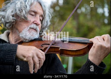 Ein älterer Mann mit lockigen grauen Haaren und Bart spielt draußen Geige, tief in seine Musik eingetaucht, umgeben von üppigem Grün. Stockfoto