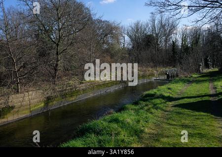 Wanderweg am River Crane, Twickenham, im Frühling Stockfoto