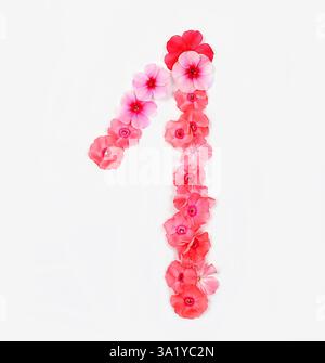 Nummer 1 aus echten frischen Blumen. Konzept der Blumenschrift, Alphabet. Einzigartige Sammlung von Buchstaben und Zahlen für Design. Frühling, Sommer, Herbst und Stockfoto