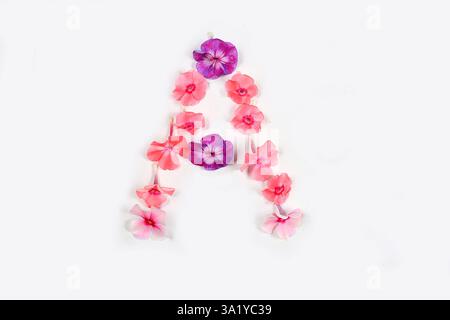 Buchstabe A aus echten frischen Blumen. Konzept der Blumenschrift. Einzigartige Sammlung von Buchstaben und Zahlen für Design. Frühling, Sommer, Herbst und Valentinstag Stockfoto