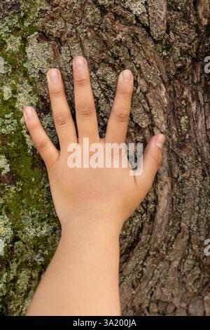 Eine Nahaufnahme einer Hand mit allen fünf Fingern, die sanft auf dem Stamm eines Baumes liegt und mit der Natur verbunden ist. Stockfoto