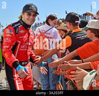 A.J. Foyt Rennfahrer Santino Ferrucci begeistert Fans bei Fahrereinführungen zum Großen Preis von St. Petersburg 2025 am Sonntag, den 2. März 2025, in St. Petersburg, Fla. (Mitch White/Image of Sport) Stockfoto