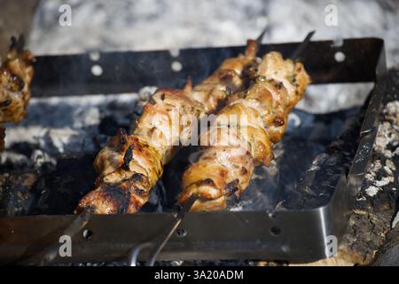 Nahaufnahme eines Shish Döns auf Spießen, der über heißen Kohlen in einem Metallbrenner brutzelt, bereit für den Grill im Sommer. Stockfoto