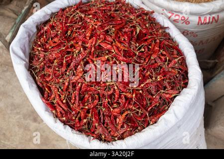 Heiße Paprika, Dhaka, Bangladesch Stockfoto