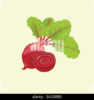 Aquarellillustration einer Roten Bete mit grünen Blättern und einer geschnittenen Hälfte mit hellem Hintergrund Stock Vektor