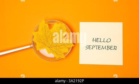 Lupe mit gelbem Blatt und Hinweis mit den Worten Hello September. Konzept des Herbstbeginns und der neuen Saison Stockfoto