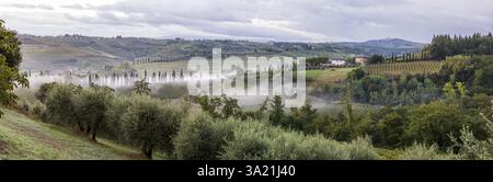 Panorama mit den typischen Hügeln der Toskana mit Olivenhainen, Weinbergen und Zypressen im Morgennebel, im Hintergrund die Türme von San Gimigna Stockfoto