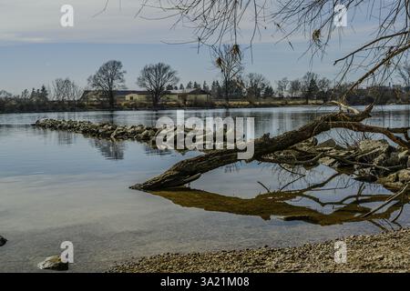 Fluss mit ruhigem Wasser und Ästen. Steine am Ufer, Bäume im Hintergrund, klare Reflexionen, Donau, Bogen, Niederbayern Stockfoto