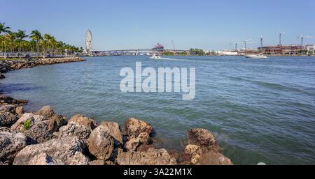 Bayfront Park und Riesenrad gegenüber dem Kreuzfahrthafen in Miami, Florida, USA Stockfoto