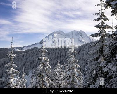 WA26422-00...... WASHINGTON - Mount Rainier vom Trooper Ridge des 10th Mountain Devision Memorial Trail, Mount Tahoma Trail System. MR#S1 Stockfoto