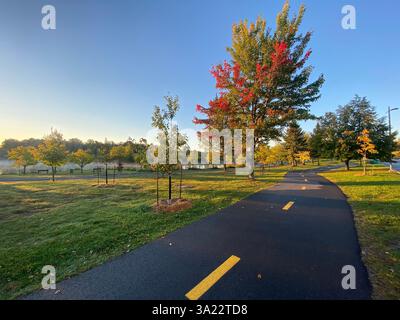 Ein malerischer Park-Pfad, umgeben von lebhaftem Herbstlaub, das in goldenem Morgenlicht unter einem klaren blauen Himmel getaucht ist Stockfoto