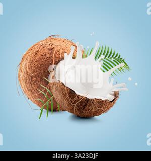 Kokosnüsse mit Palmblatt und Milchspritzer auf hellblauem Hintergrund. Stockfoto