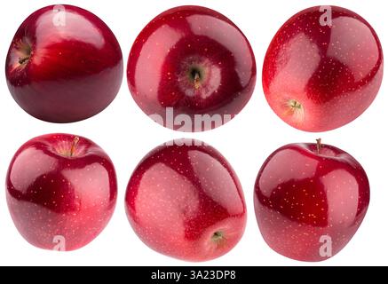 Satz von roten Äpfeln isoliert auf weißem Hintergrund. Stockfoto