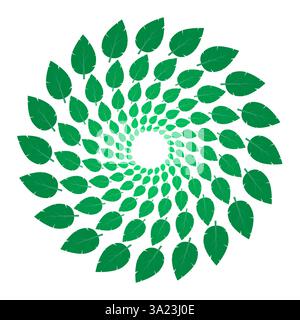 Vektor natürliche grüne frische organische Blätter Symbol isoliert auf weißem Hintergrund. Elementdesign für natürliche, umweltfreundliche, Bio- und vegane Etiketten. Stock Vektor
