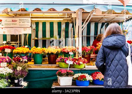 Blumenverkauf auf dem Markt am Münsterplatz. Freiburg im Breisgau, Freiburg, Baden-Württemberg, Deutschland, Europa Stockfoto