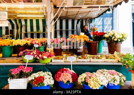 Blumenverkauf auf dem Markt am Münsterplatz. Freiburg im Breisgau, Freiburg, Baden-Württemberg, Deutschland, Europa Stockfoto