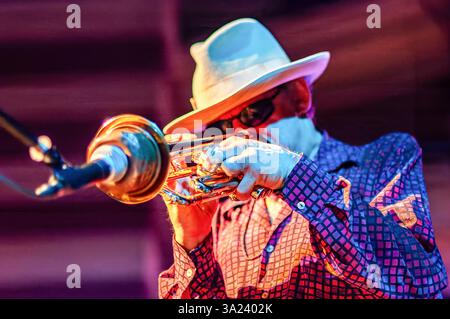 Sanlucar de Barrameda, Spanien, 17. Juli 2004, spielt Jerry Gonzalez leidenschaftlich gedämpfte Trompete während eines Live-Konzerts unter bunten Lichtern. Stockfoto