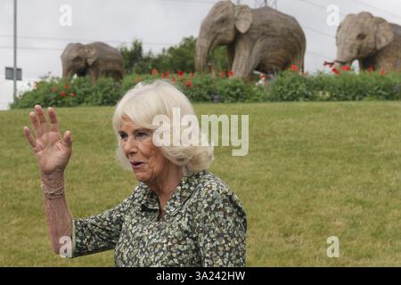 Königin Camilla winkt der Menge zu, als sie nach einem Besuch das neue Hauptquartier von Stonegate Farmers in Lacock Green, Chippenham, Wiltshire eröffnet, eine hochmoderne Einrichtung, in der Freilandeier und Bio-Eier verpackt werden. Bilddatum: Dienstag, 3. September 2024. Stockfoto