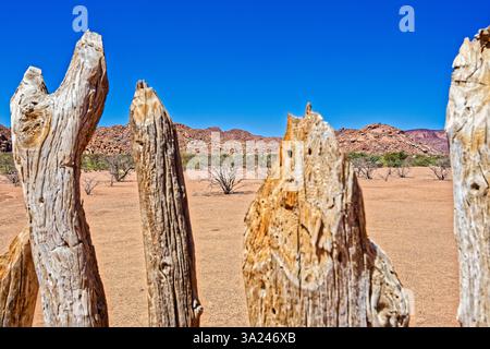 Typischer Holzzaun um ein Lager in der Wüste, Twyfelfontein, Kunene, Damaraland, Namibia, Afrika Stockfoto