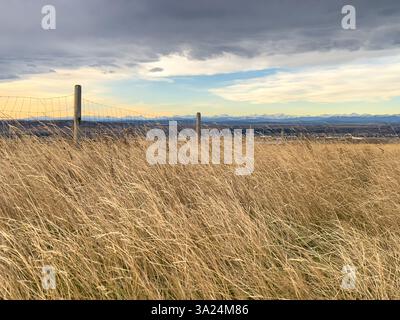 Ein rustikaler Stacheldrahtzaun erstreckt sich über hohes goldenes Gras und überblickt ein Tal mit weit entfernten Bergen unter einem teilweise bewölkten Himmel. Ein ländlicher Countr Stockfoto