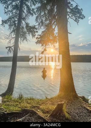 Eine Person steht hüfttief in einem ruhigen See bei Sonnenuntergang, eingerahmt von hohen Bäumen. Die goldene Sonne wirft warmes Licht über das Wasser und schafft so eine friedliche und freundliche Atmosphäre Stockfoto