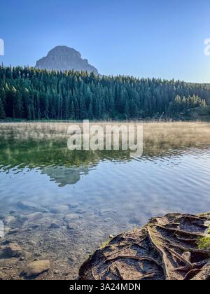 Ein stiller See, der einen Berggipfel und dichten Kiefernwald reflektiert, mit Nebel, der über dem Wasser schwebt. Das klare Wasser zeigt glatte Steine unter dem Su Stockfoto