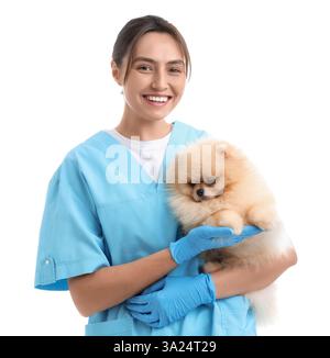 Weibliche Tierärztin mit niedlichem Pommerschen Hund auf weißem Hintergrund Stockfoto